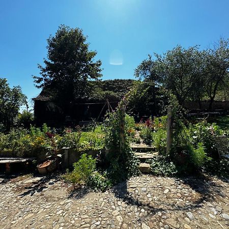 Saschiz 175 Guesthouse Kültér fotó