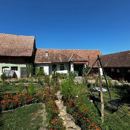 Saschiz 175 Guesthouse Kültér fotó