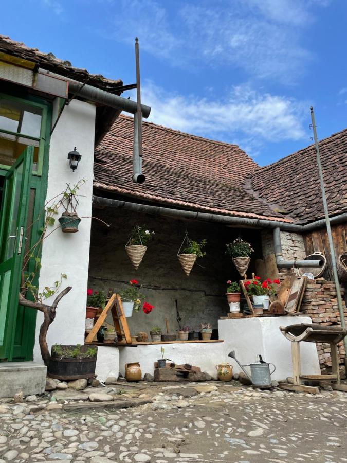 Saschiz 175 Guesthouse Kültér fotó