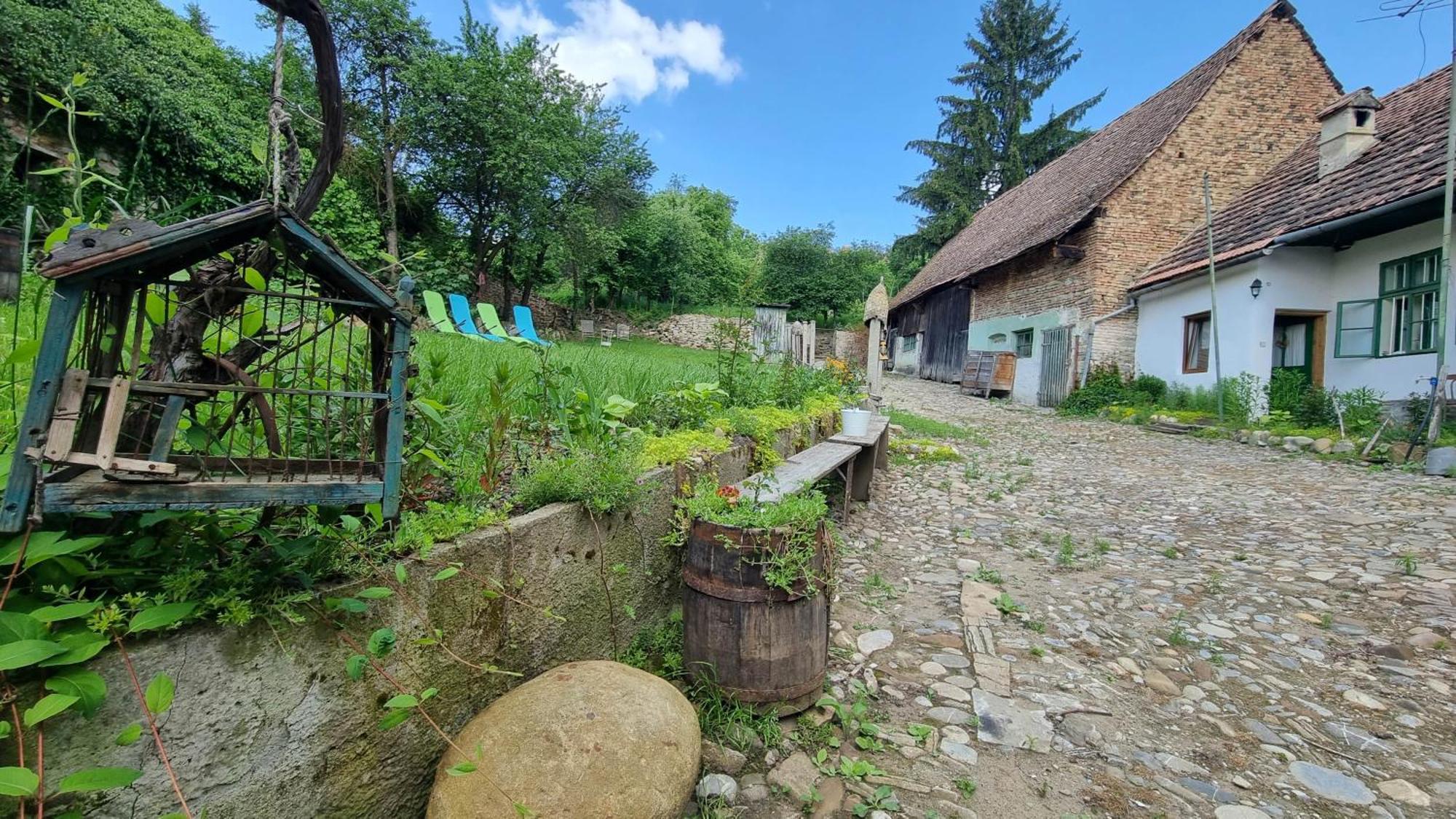 Saschiz 175 Guesthouse Kültér fotó