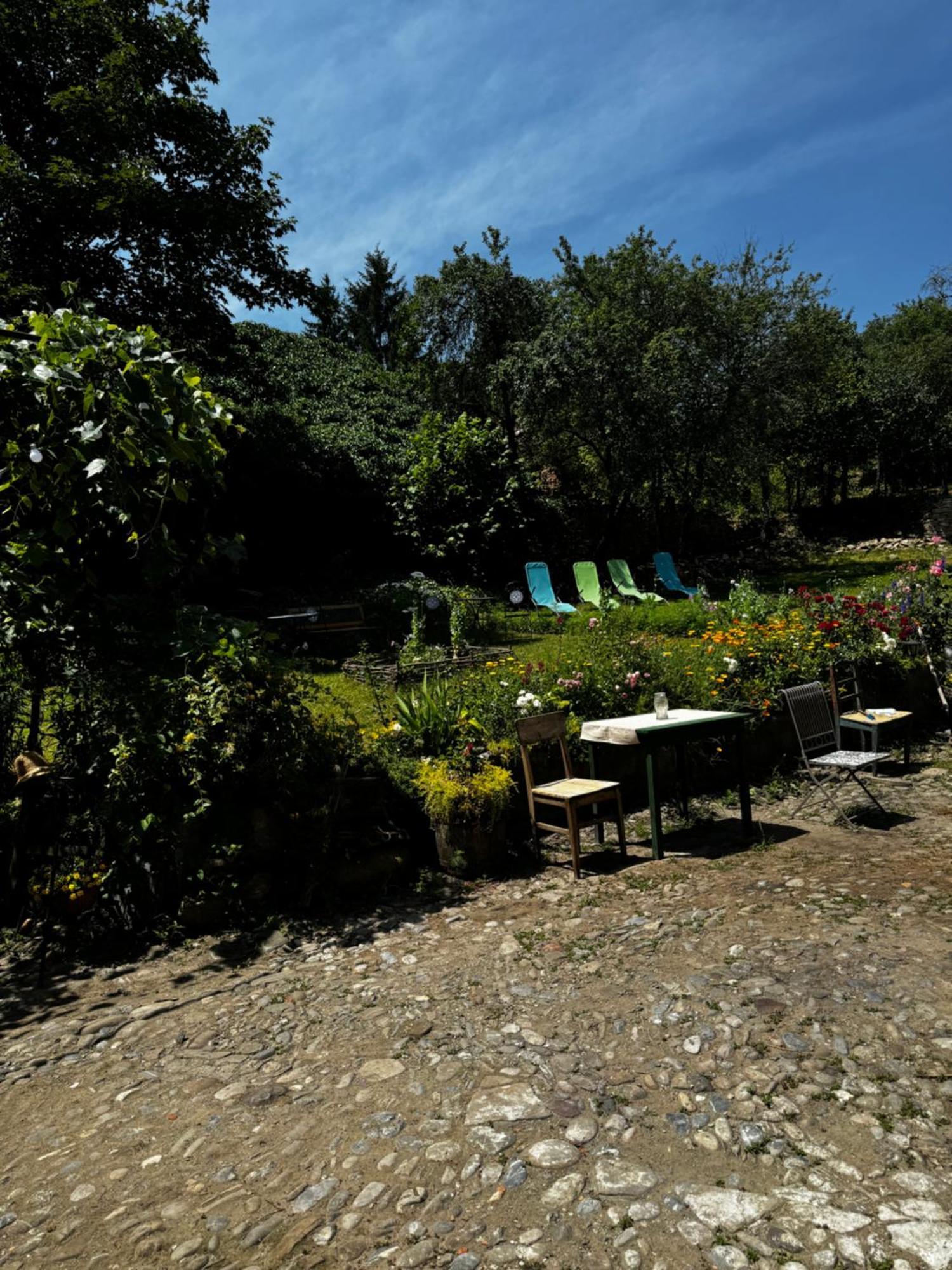 Saschiz 175 Guesthouse Kültér fotó