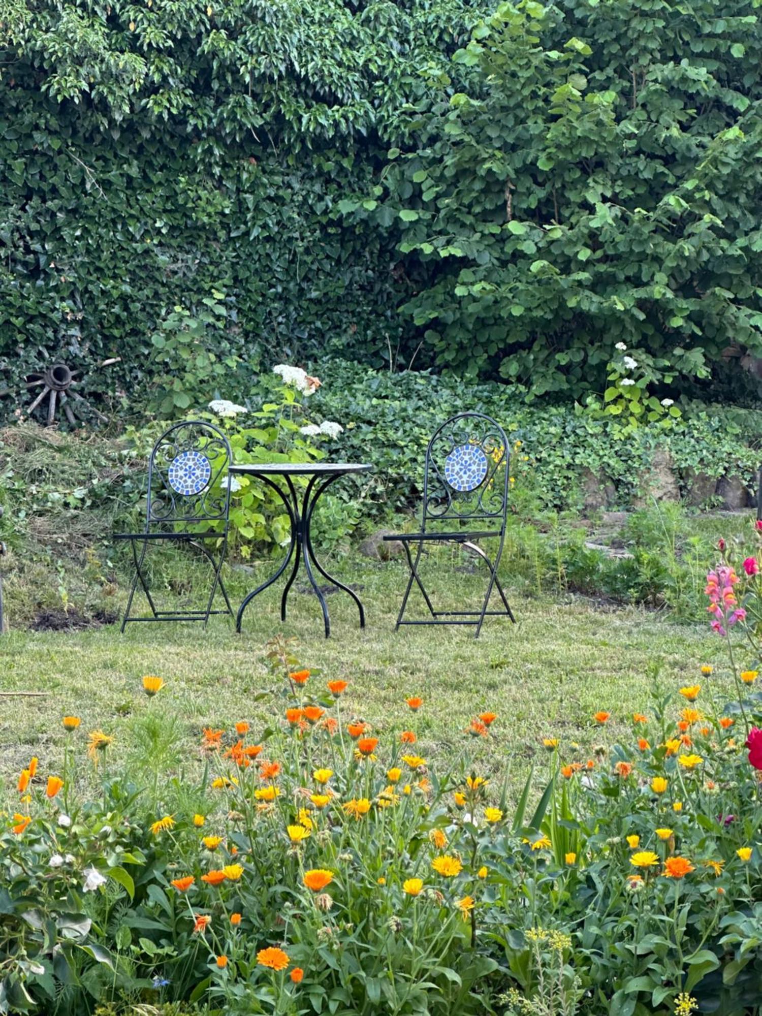 Saschiz 175 Guesthouse Kültér fotó