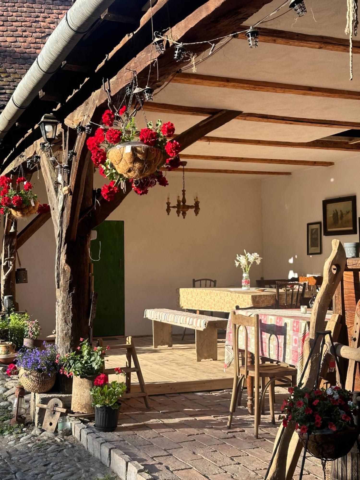 Saschiz 175 Guesthouse Kültér fotó
