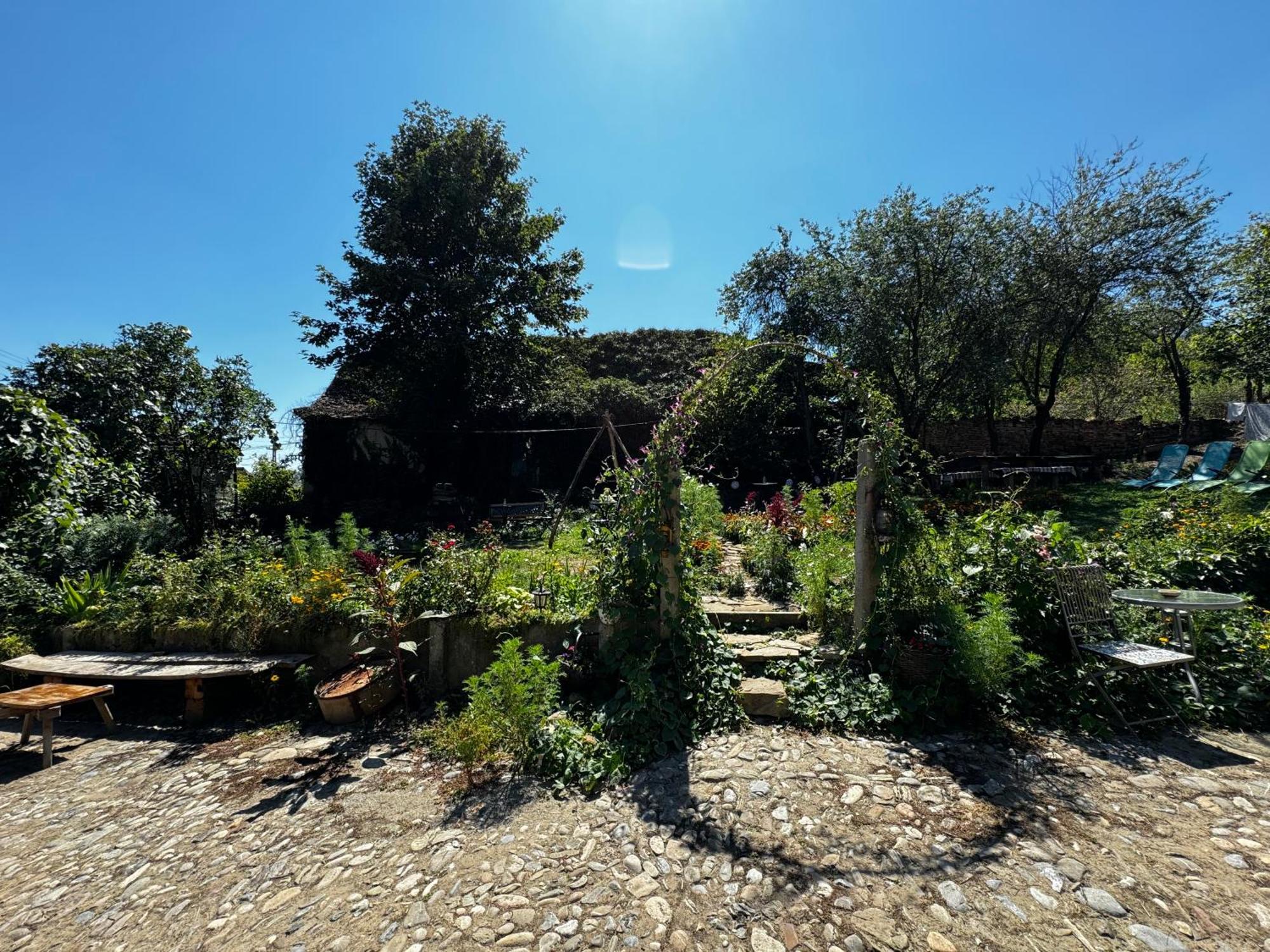 Saschiz 175 Guesthouse Kültér fotó
