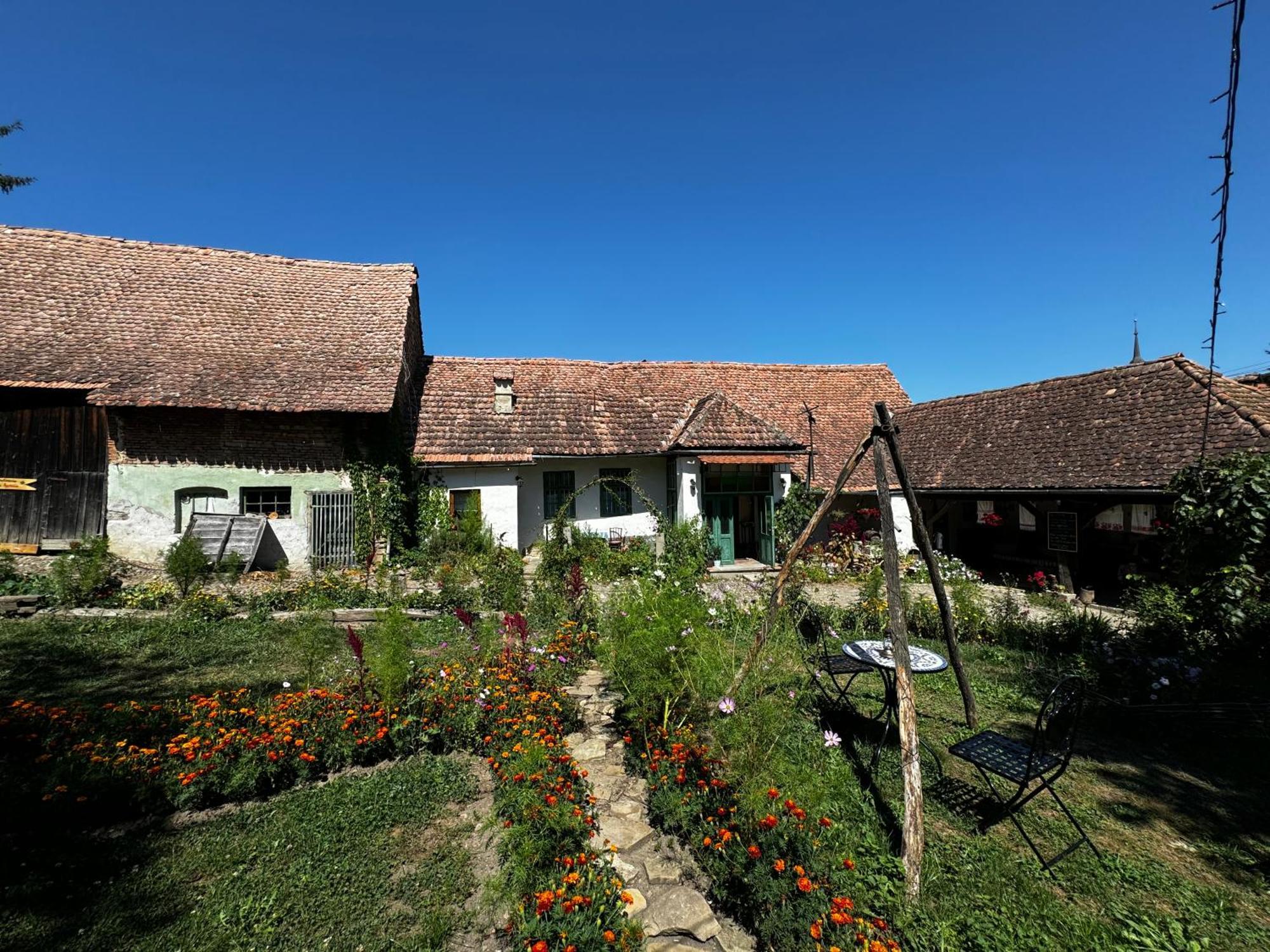 Saschiz 175 Guesthouse Kültér fotó
